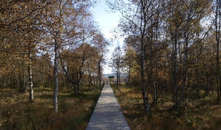 Rotes Moor Rhon Rhonfuhrer De