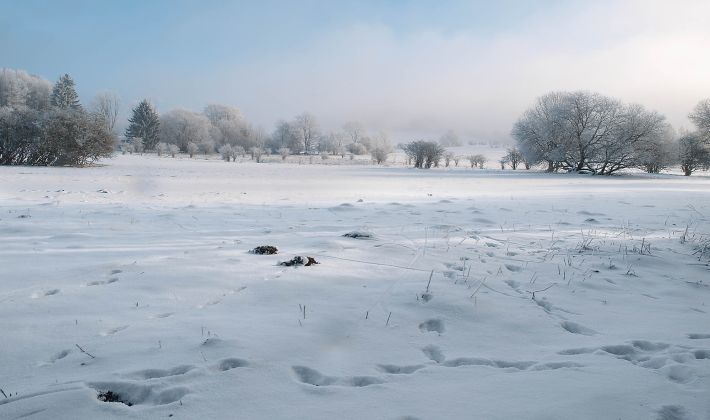 Rundloipe B3 Rother Kuppe Sennhuette Rhonfuhrer De