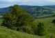 Blick zum Arnsberg und Kreuzberg