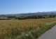 Rhön-Rundweg 5 Petersberg Blick in die Rhön