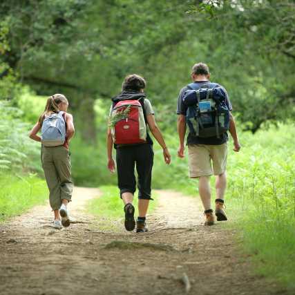 best-western-hotel-rhoen-garden-aktivitaeten