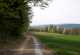  Wanderweg am Horstberg