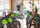 rhoen-a7-bikestore-store-inside-02