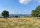 rhoen-buchschirm-panorama-03