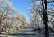 Schlosspark Fulda