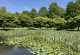 Naturlehrgarten an der Fohlenweide