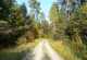 Rhön-Rundweg 12 Rhönwald Der Rhönwald...