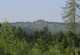 rhoen-heilklimatische-wanderwege-gersfeld-dammel-blick-zum-wachtkueppel