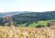 Rhön-Rundweg 2 Steens Blick zur Wasserkuppe