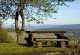 nordic-walking-2-kalbach-frauenstein-bild