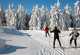 Winterwanderweg 1 Holzberghof Langlaeufer