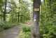 Rhön Rundweg 3 Hausen - Brunnenhoz