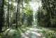 Rhön Rundweg 1 Nordheim v. d. Rhön Waldweg bei Neustädtles