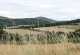 rhoen-ferienanlage-saaleblick-ausblick