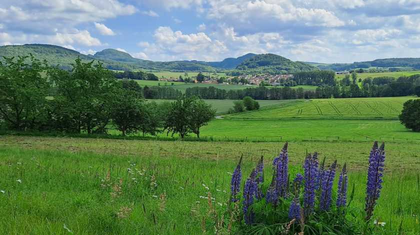 Tagestour Rhön