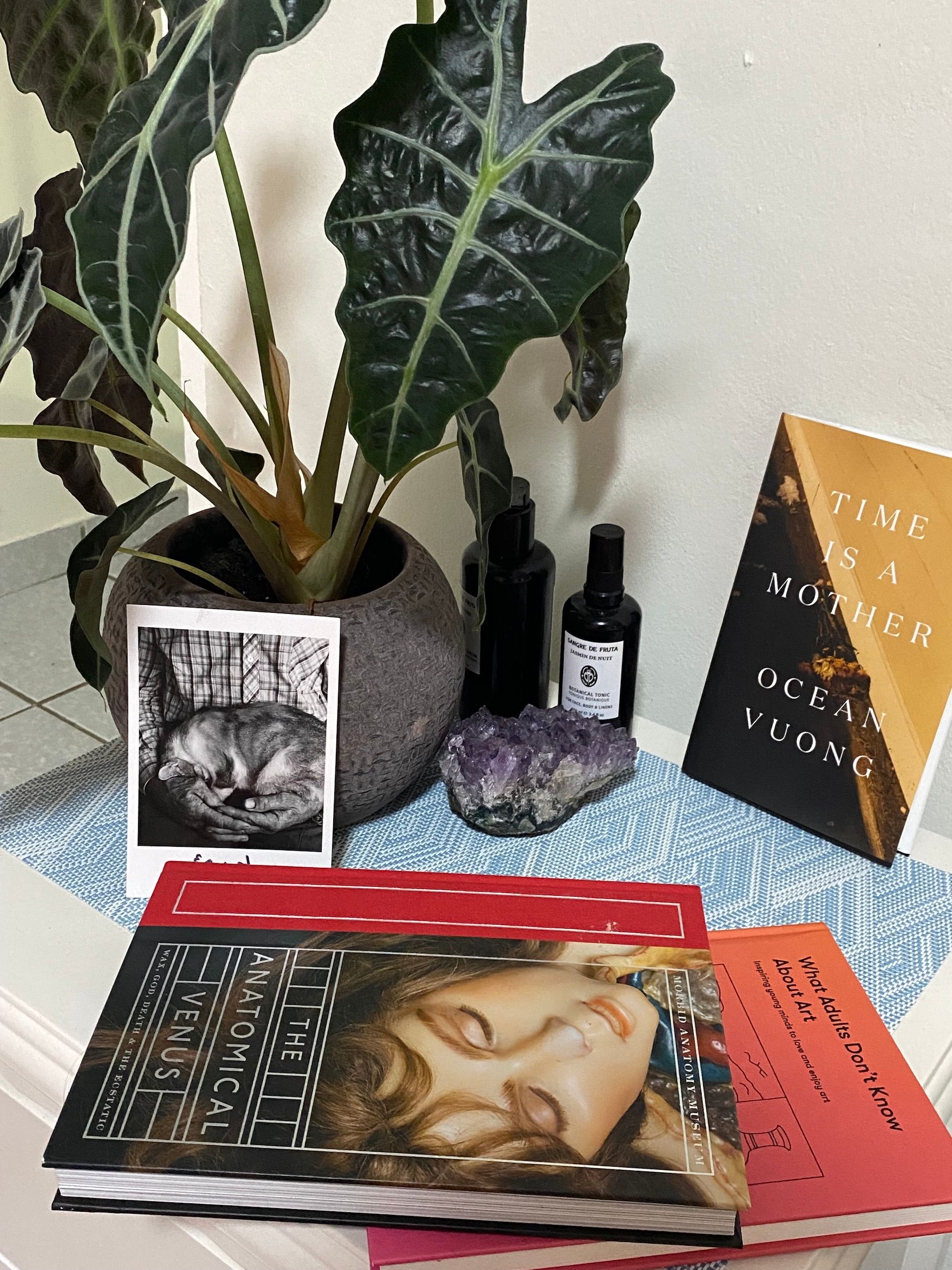 *Erin Perry's shelf portrait.jpg