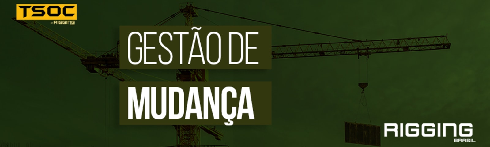 GESTÃO DE MUDANÇA