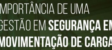 Importância de uma gestão em Segurança em Movimentação de Cargas