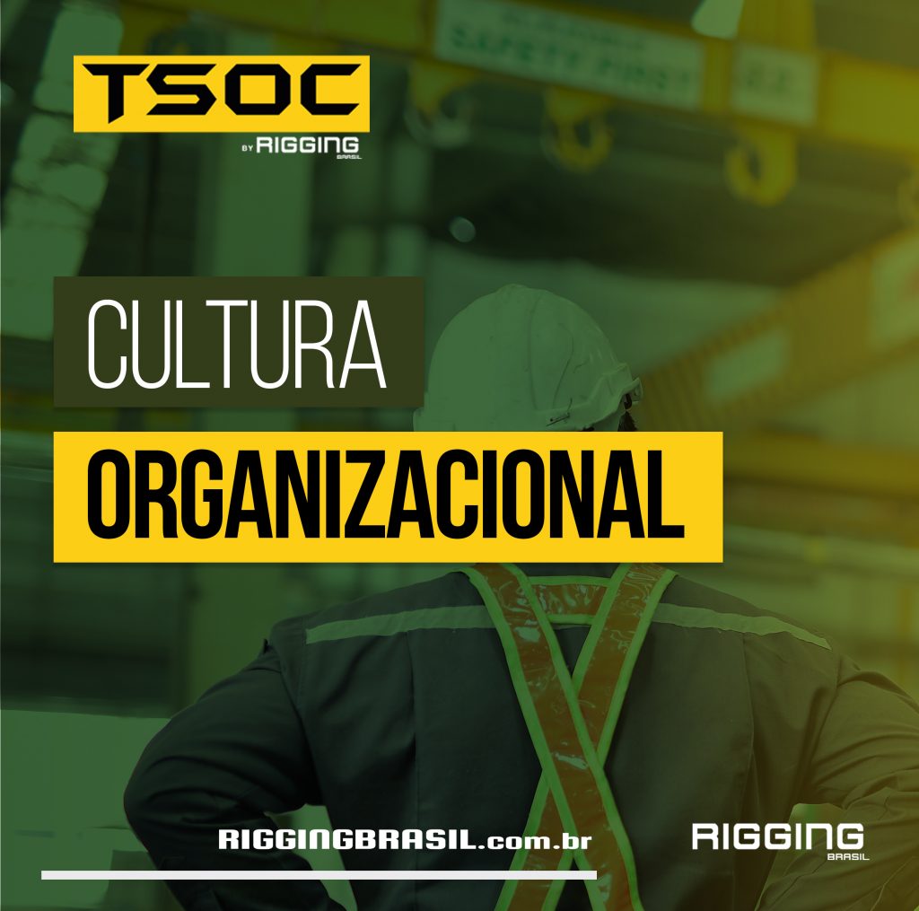 organizacional