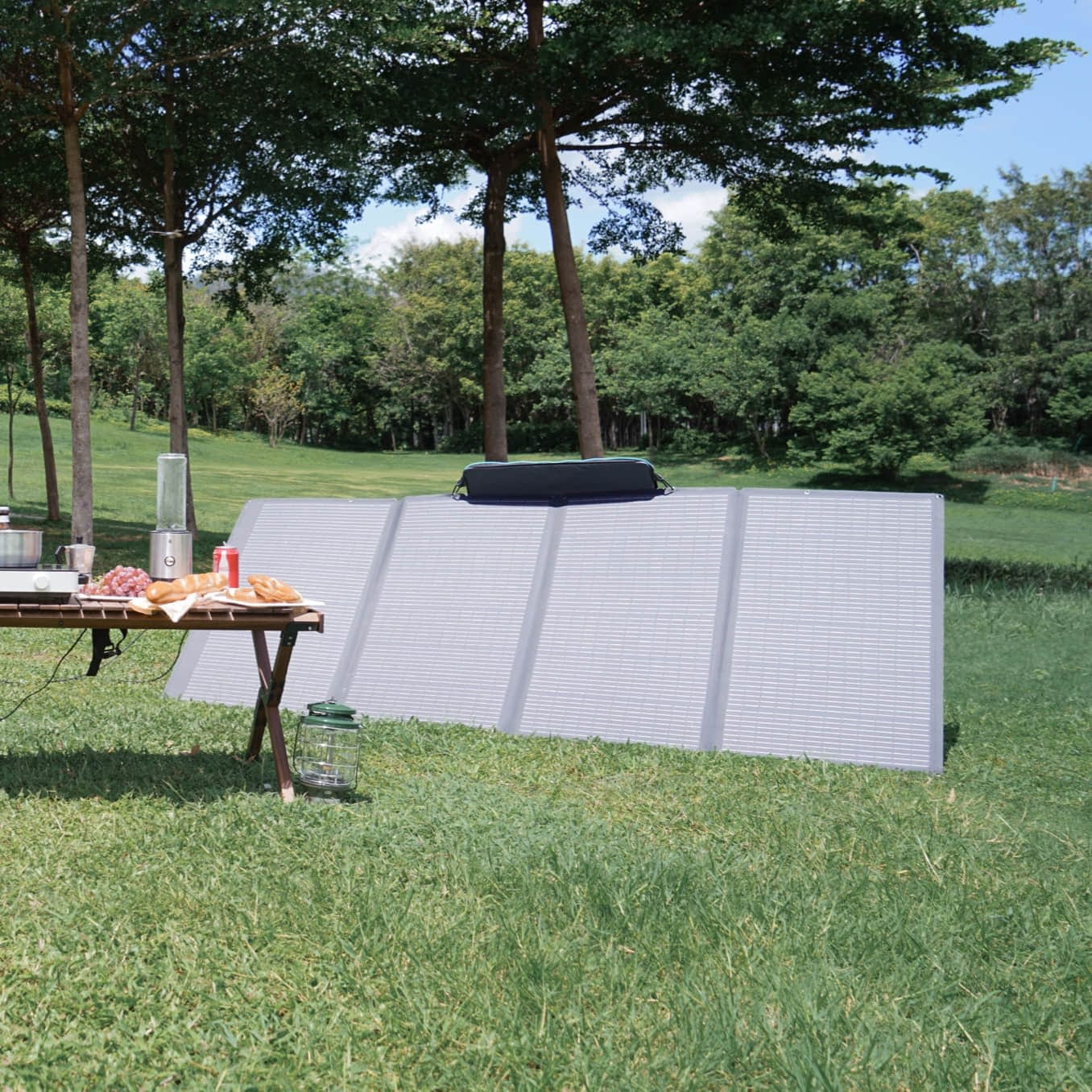 EcoFlow 400W Portable Solar Panel - Image 2