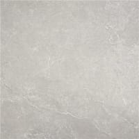 Plus Pulse Grey 2cm 60x60 Rectified InOu