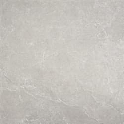 Plus Pulse Grey 2cm 60x60 Rectified InOu