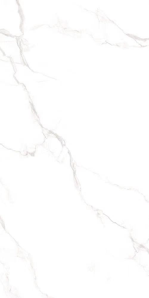 Carrara Polished 60x120 Rectified