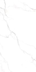 Carrara Polished 60x120 Rectified