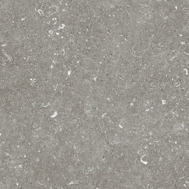Plus Belgian Grey 2cm 60x60 Rectified