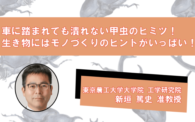 脳科学って何学部ですか Rikejo Q A 理系女子応援サービス Rikejo リケジョ