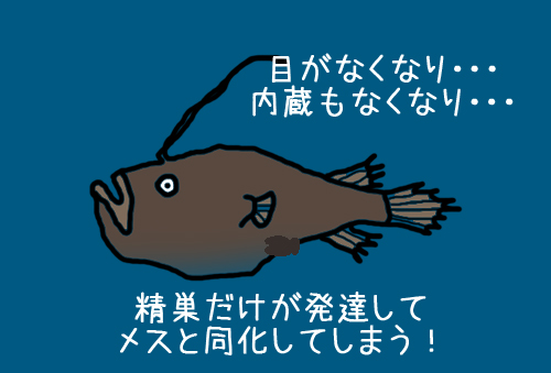 チョウチンアンコウの歪んだ愛 理系女子応援サービス Rikejo リケジョ チョウチンアンコウの歪んだ愛 理系女子応援サービス Rikejo リケジョ