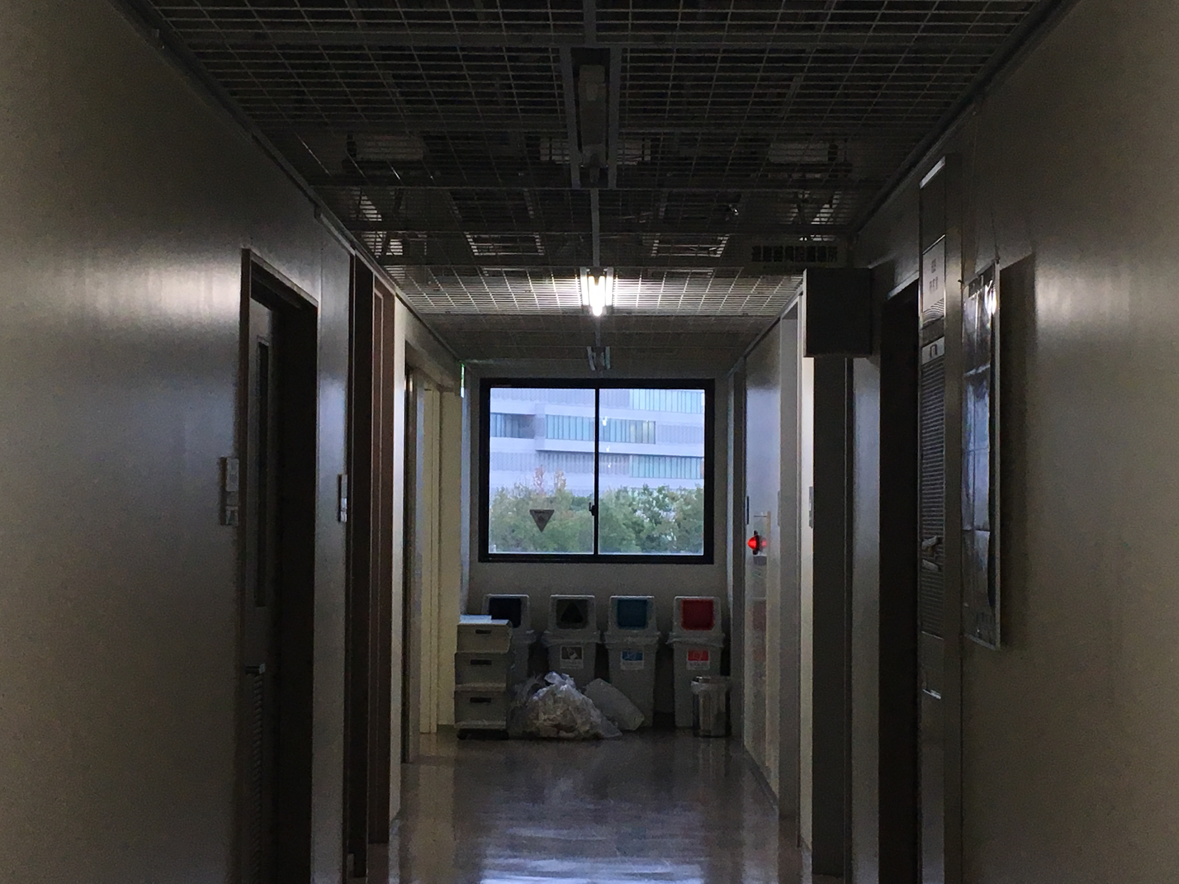 先輩リケジョリポート 謎現象の原因を探ってみよう 理系女子応援サービス Rikejo リケジョ