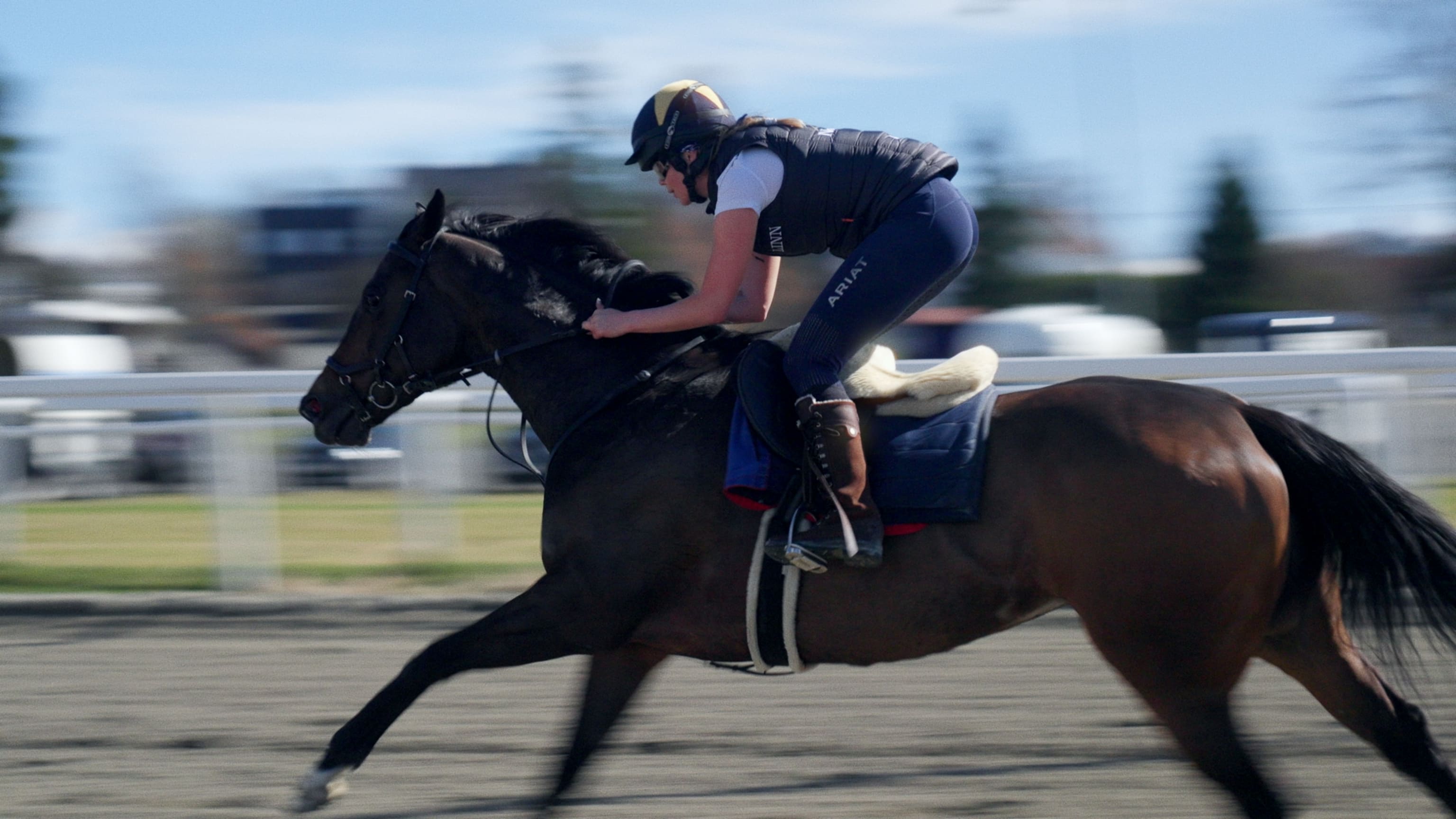 Linn i full galopp på Øvrevoll