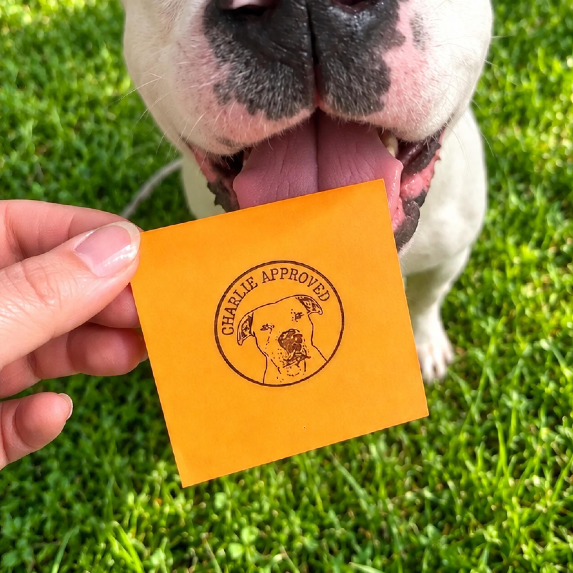 Image of Pet Portrait Stamp with Head Cutout (Face Stamp)