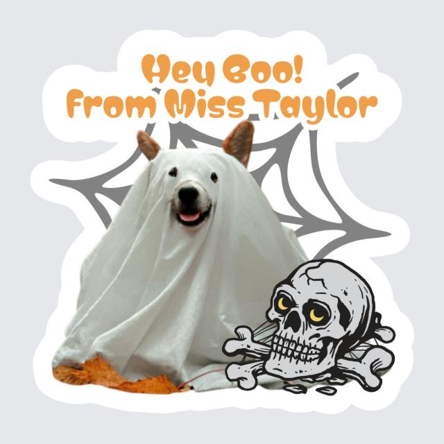 Dress up your dog’s Halloween treats with our Custom Dog Halloween Stickers. Featuring your pet's image, festive greetings, and classic spooky elements like spider webs and bats, these stickers are ideal for party favors and treat labels. Make this Halloween unforgettable for your pet and party guests!