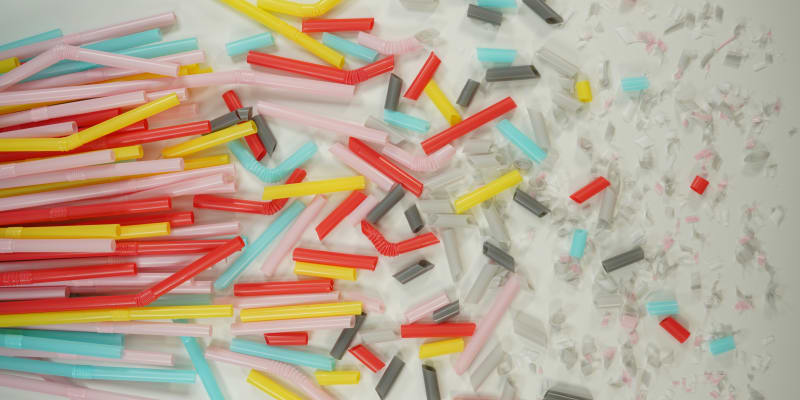 Can You Detox Microplastics?