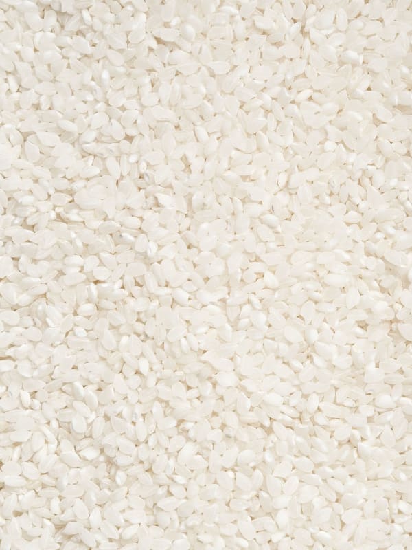 White Rice
