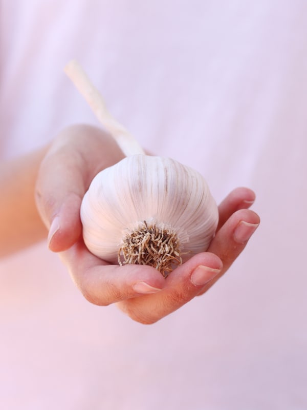 Garlic Bulb In Palm Of Hand