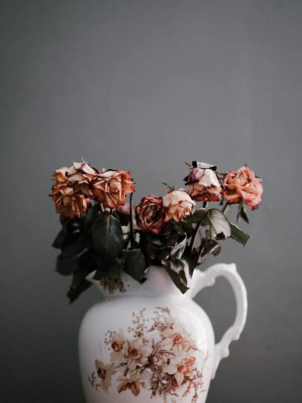 Dried Flowers