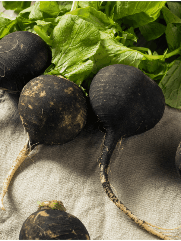 Black Radish