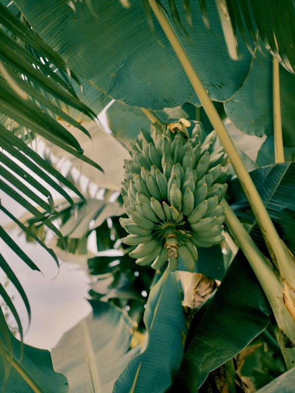 eriksson-luo-J6Jd0bQhPEE-unsplash.jpg