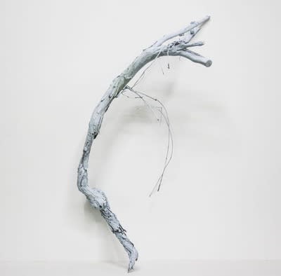 Vale forse la pena affaticarsi per udire la propria eco?