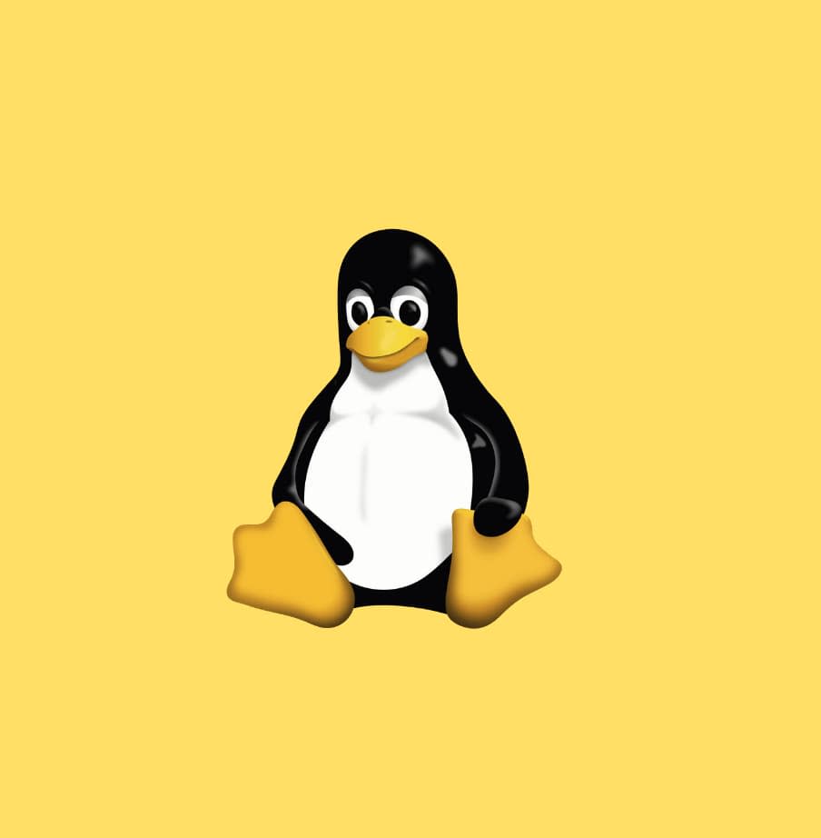 Linux, OpenSource e ThinkPad d'annata