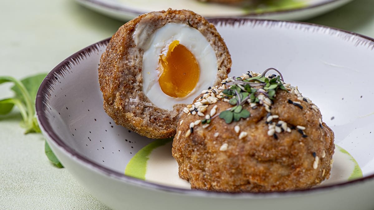 Skotu ola palijas apvalkā