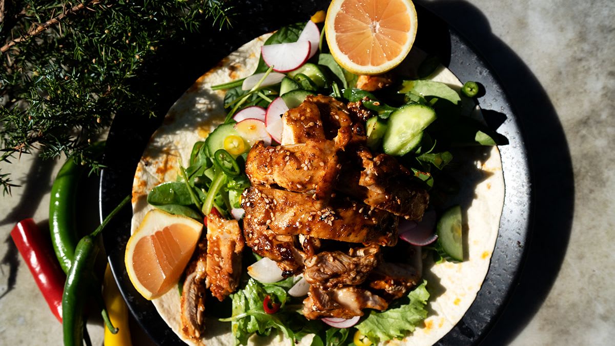 Vistas kebabs uz grila