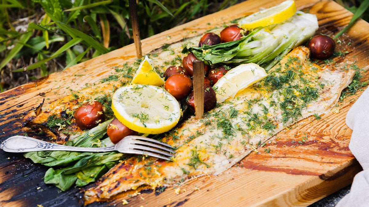 Puuplangul grillitud haug