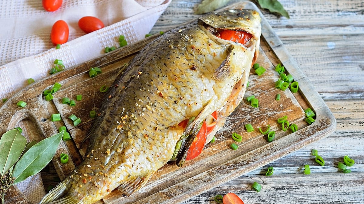 Tatraga täidetud karpkala