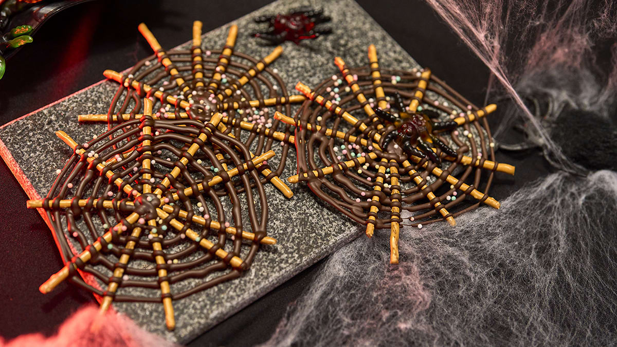 Salmiņu zirnekļtīkli