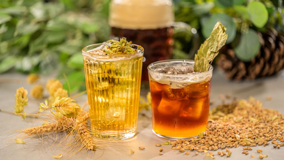 Alus dzēriens Citrus Shandy