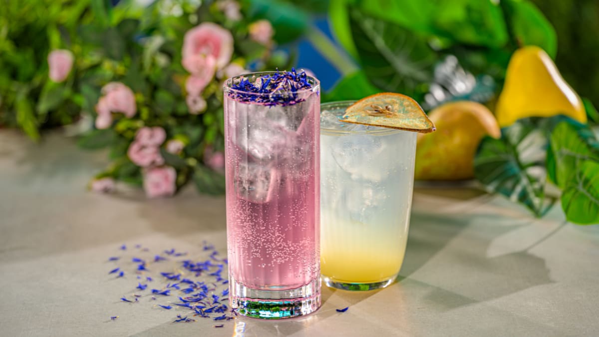 Džina kokteilis Summer Rose